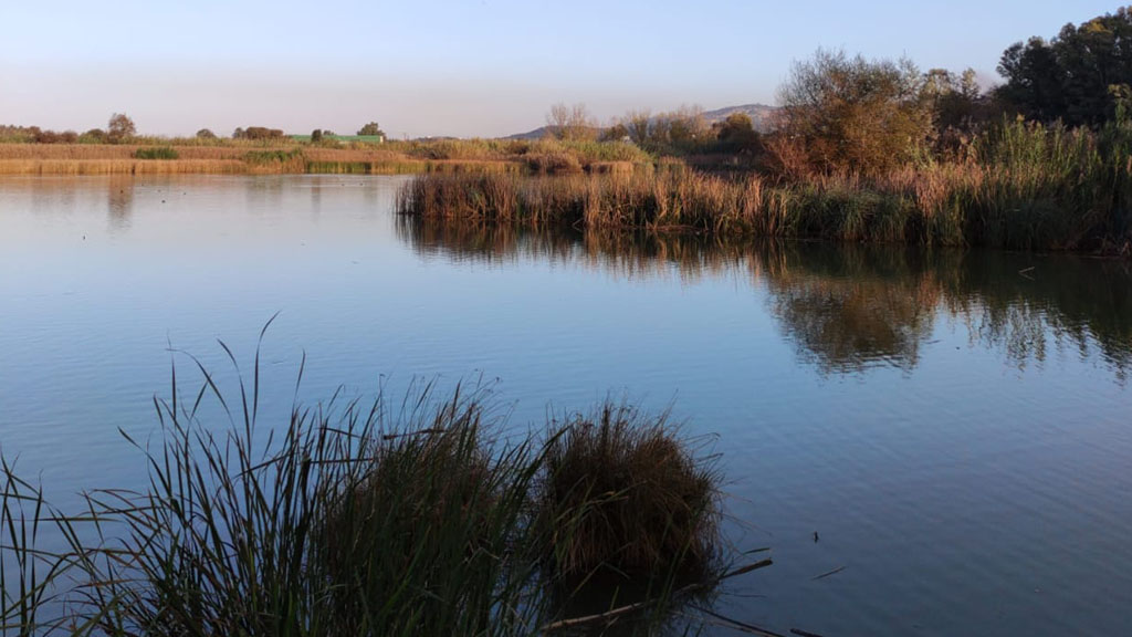 Lake of Agia, NATURA 2000 protected area near Physis Villas