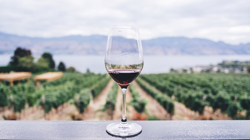 Wine tasting at Manousakis Winery near Vatolakos, Chania