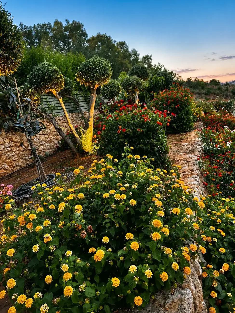 Colourful garden flowers at Villa Erato, Physis Villas Chania
