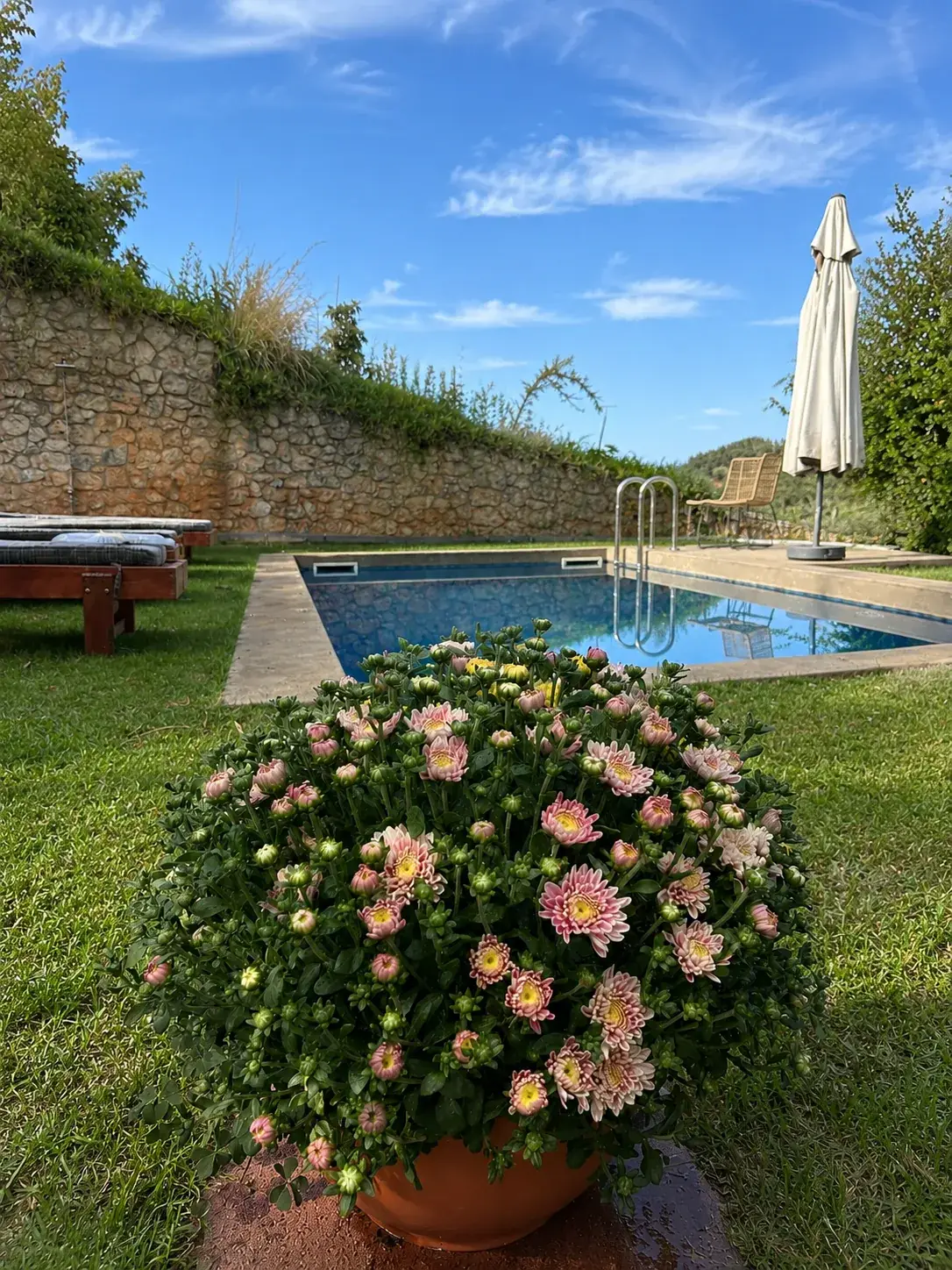 Private pool and flowering garden at Villa Erato, Physis Villas Chania