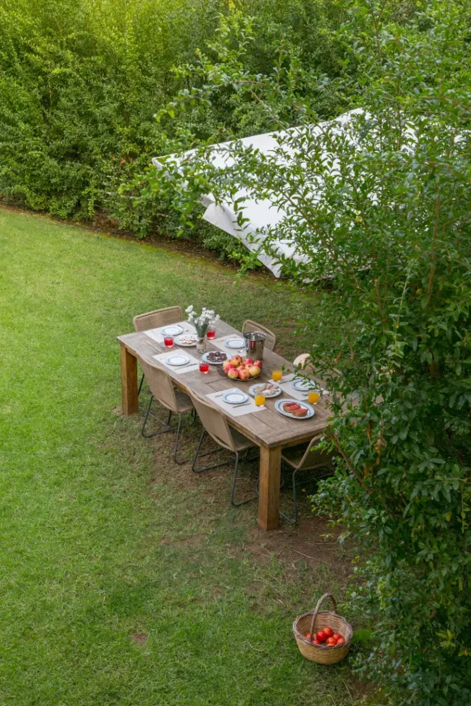 A wooden outdoor dining table set for a meal with plates, glasses of juice, and fruit, placed on a green lawn surrounded by lush bushes and trees, with a basket of tomatoes on the grass.